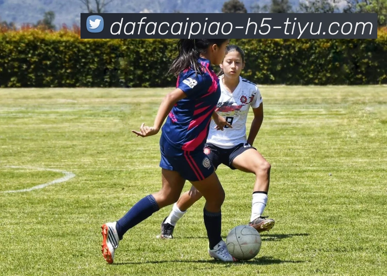 大发彩票平台生态图